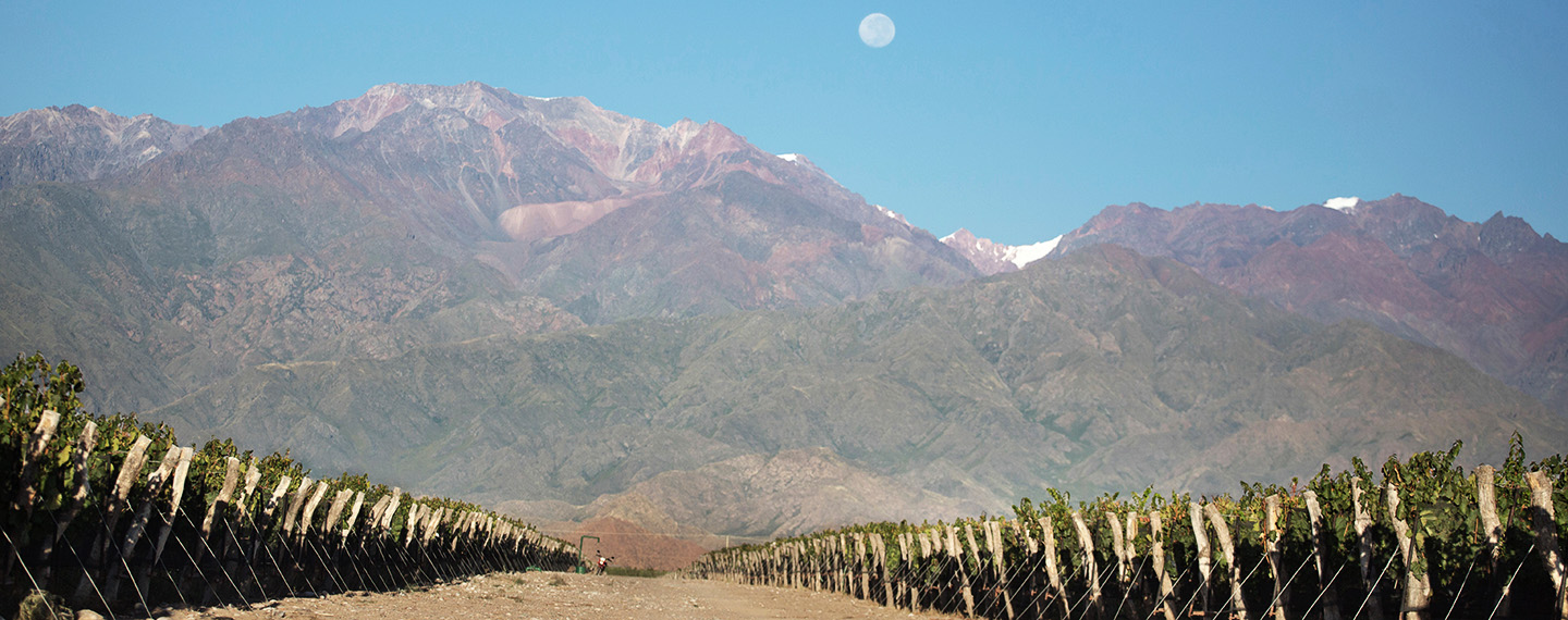 Paraje Altamira - Chakana