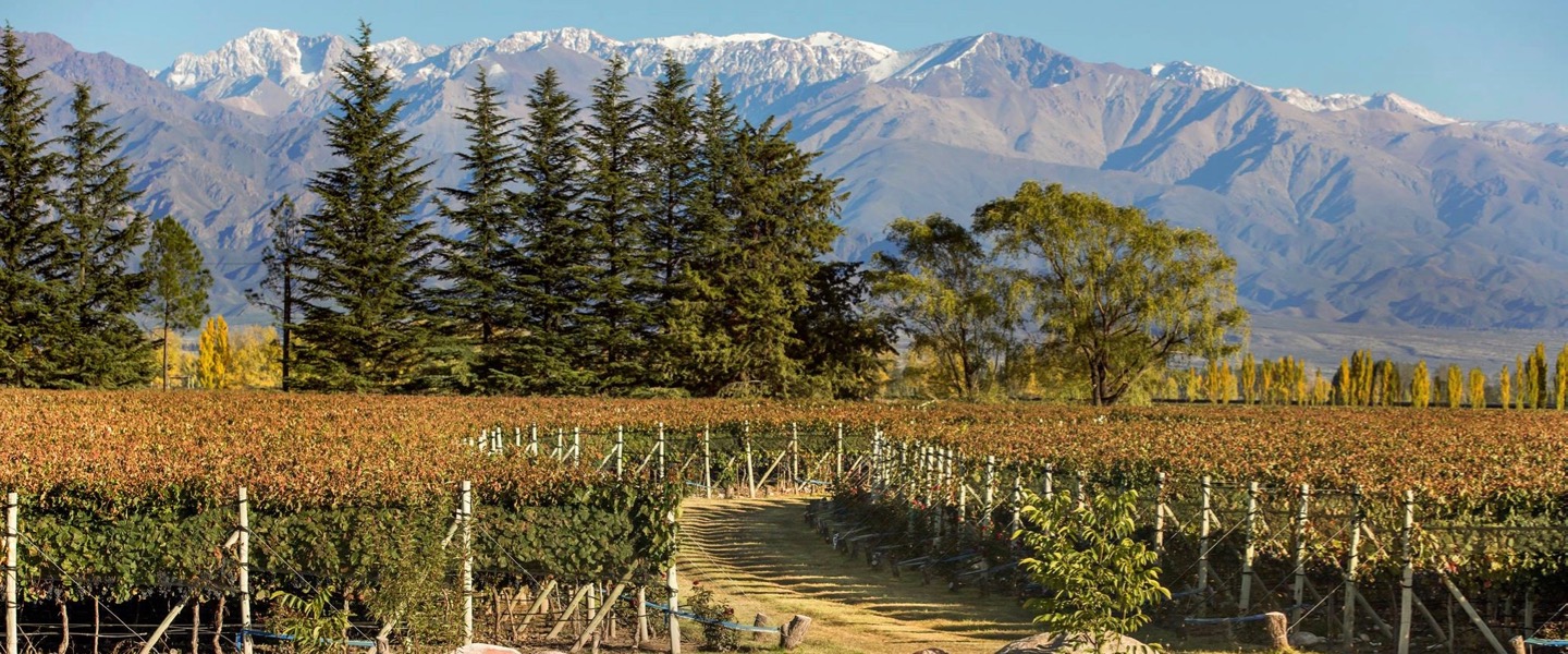 Finca La I Griega - Paraje Altamira