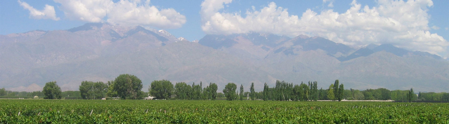 Paraje Altamira - Finca Las Glicinas