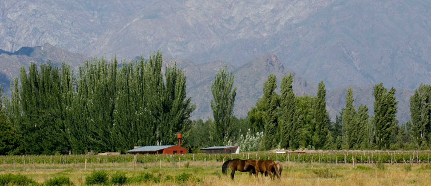 Paraje Altamira - Domados